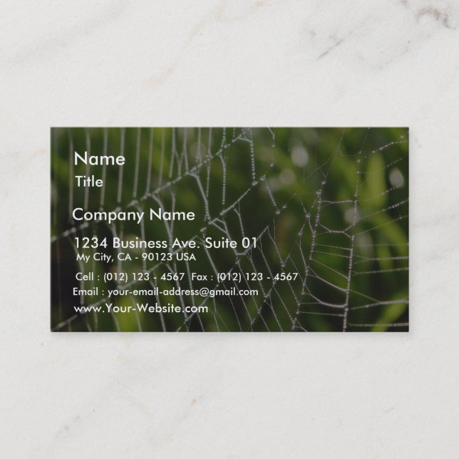 Dew And Spiderwebs Business Card (Front)