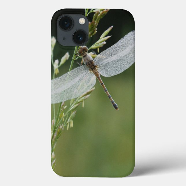 Dew covered Darner Dragonfly Case-Mate iPhone Case (Back)