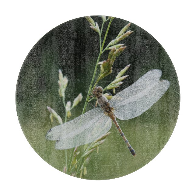 Dew covered Darner Dragonfly Cutting Board (Front)