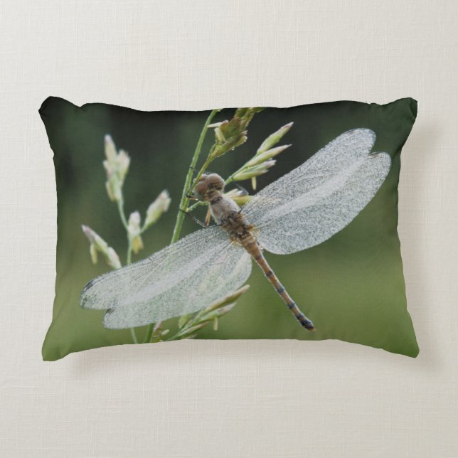 Dew covered Darner Dragonfly Decorative Cushion (Front)