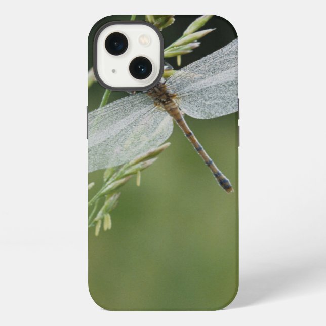 Dew covered Darner Dragonfly iPhone Case (Back)