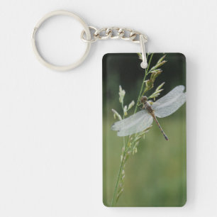 Dew covered Darner Dragonfly Key Ring
