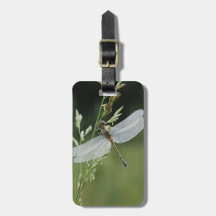 Dew covered Darner Dragonfly Luggage Tag