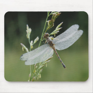 Dew covered Darner Dragonfly Mouse Pad
