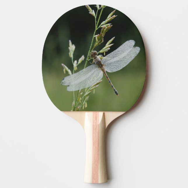 Dew covered Darner Dragonfly Ping Pong Paddle (Front)