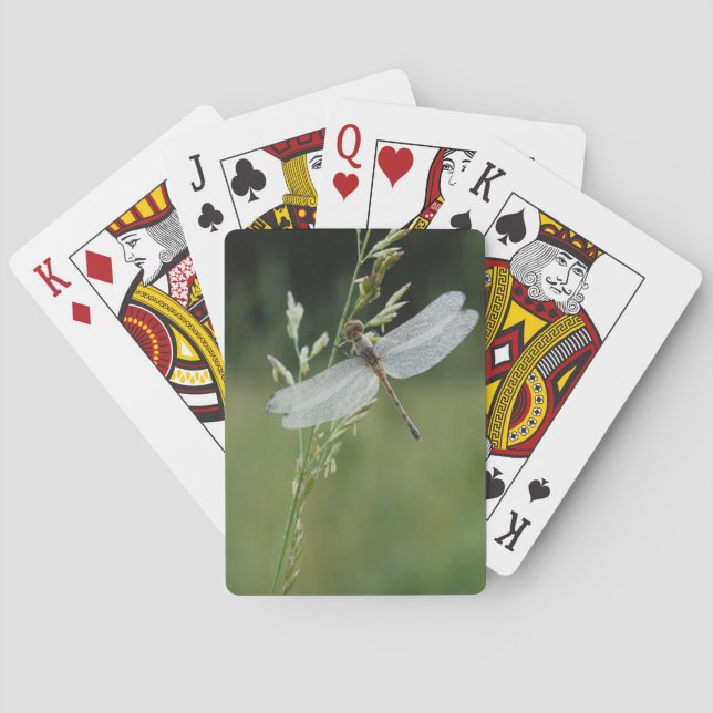 Dew covered Darner Dragonfly Playing Cards (Back)