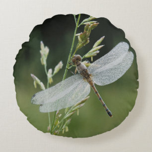 Dew covered Darner Dragonfly Round Cushion