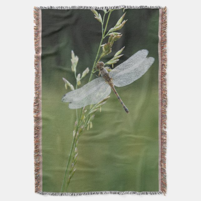 Dew covered Darner Dragonfly Throw Blanket (Front Vertical)