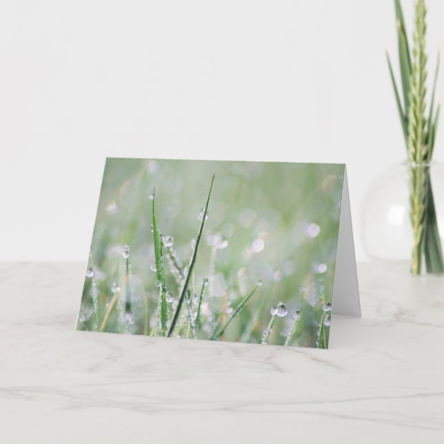 Dew-covered Grass Blank Greeting Card (Front)