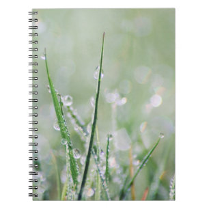 Dew-Covered Grass Blank Journal