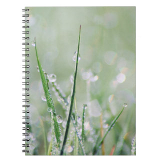 Dew-Covered Grass Blank Journal