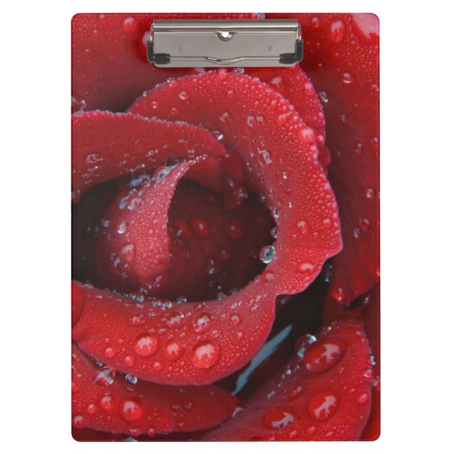 Dew covered red rose decorating grave site in clipboard (Front)
