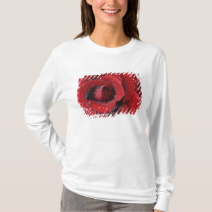 Dew covered red rose decorating grave site in T-Shirt