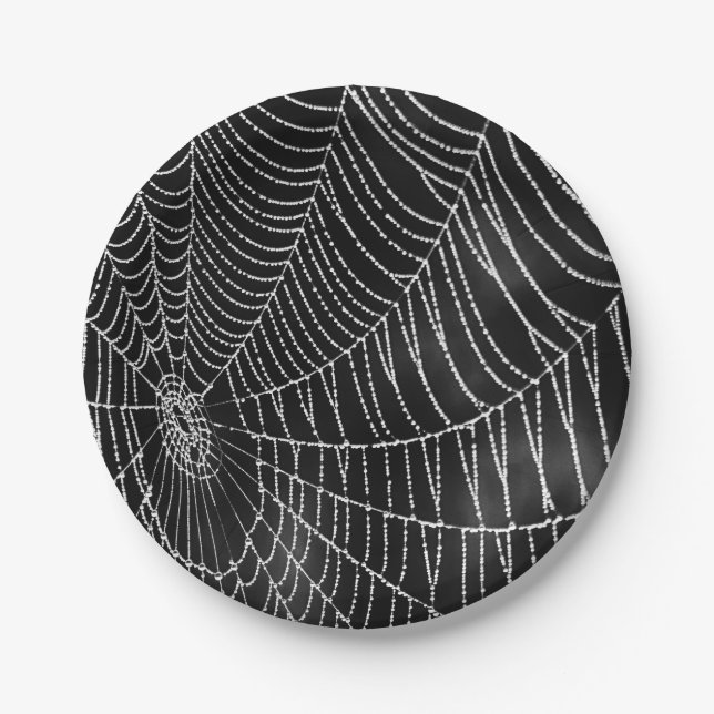 Dew-Covered Spiderweb Paper Plate (Front)