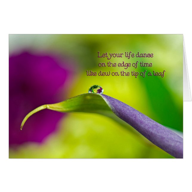 Dew Drop (Front Horizontal)