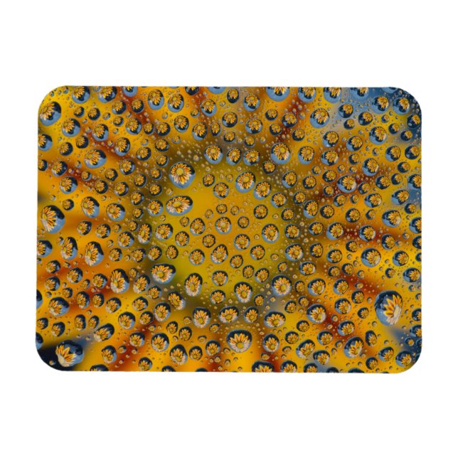 Dew Drop reflection of flower, Crescent City, Magnet (Horizontal)