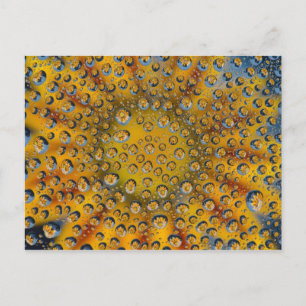 Dew Drop reflection of flower, Crescent City, Postcard