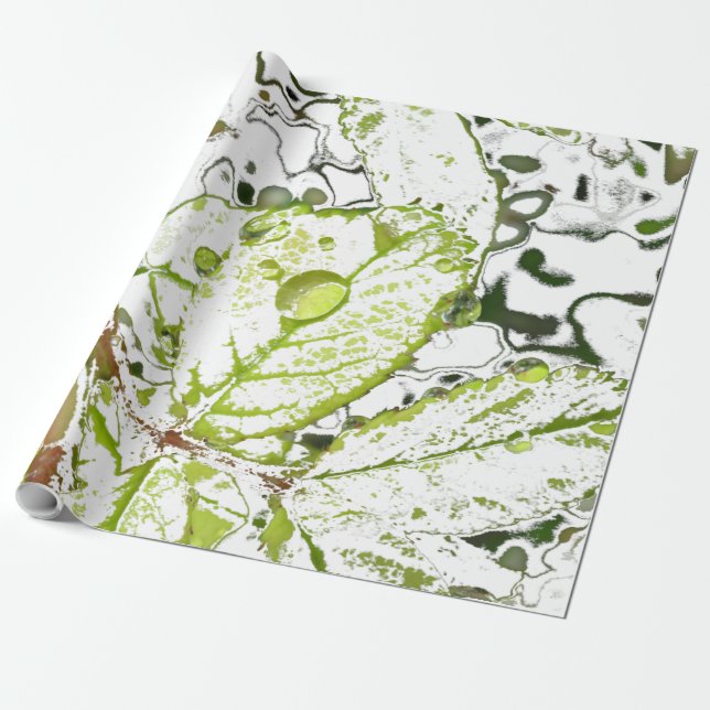 Dew Drop Wrapping Paper (Unrolled)
