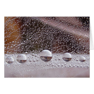 Dew Drop Yin Yang Peaceful Nature Card With Poem