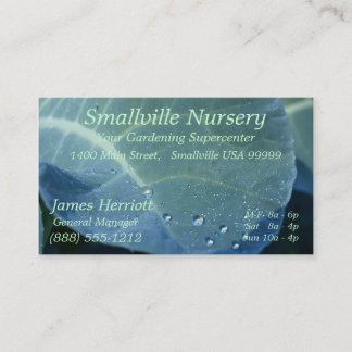 Dew Drops Business Card