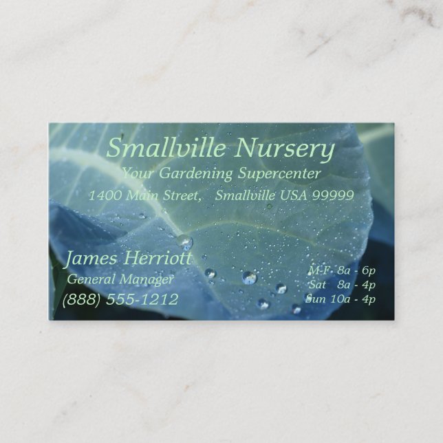 Dew Drops Business Card (Front)