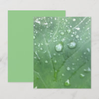 Dew Drops Green Elephant Ear Leaf Scrapbook Paper