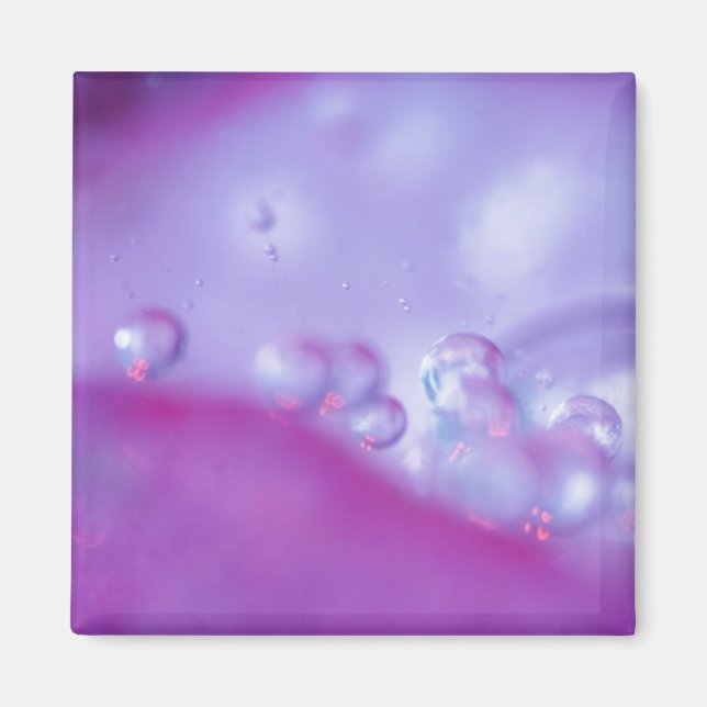 Dew drops on flower petal abstract. Credit as: Magnet (Front)