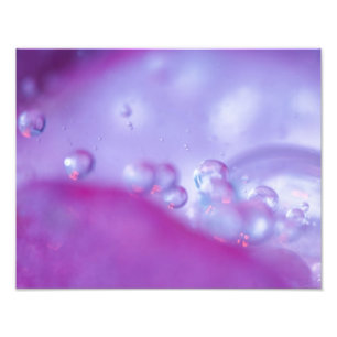 Dew drops on flower petal abstract. Credit as: Photo Print