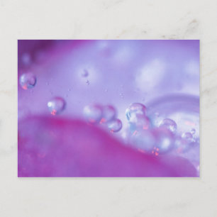 Dew drops on flower petal abstract. Credit as: Postcard