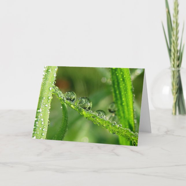 Dew Drops on Green Grass Poetry of Nature Card (Front)