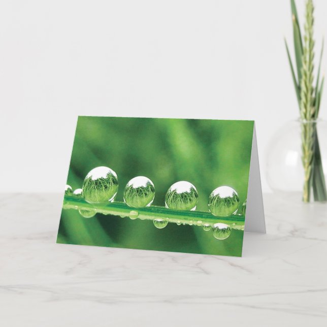 Dew Drops on Green Grass Poetry of Nature Card (Front)