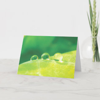 Dew Drops on Leaf Peaceful Nature Note Card