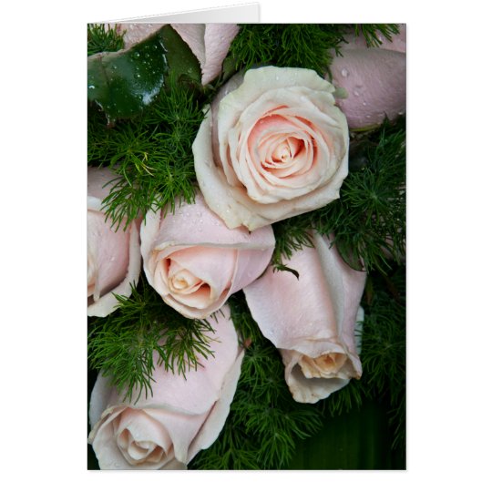 Dew Drops On Pink Roses Card