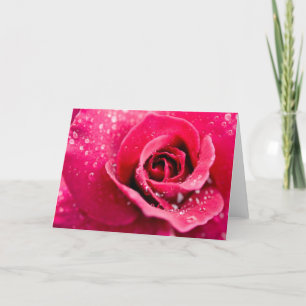 Dew Drops on Rose Greeting Card