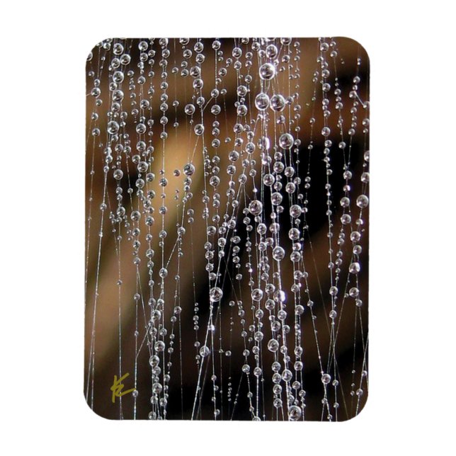 Dew Drops Sparkle on Spider Web Meditation Magnet (Vertical)