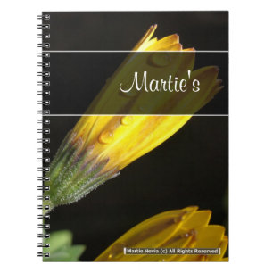 Dew on a Yellow Daisy Notebook
