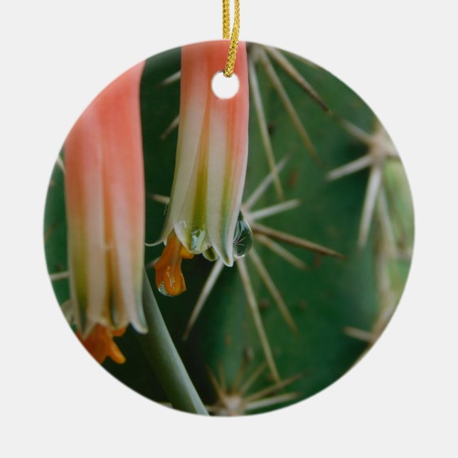 Dew on Aloe Bloom  Ceramic Ornament (Front)