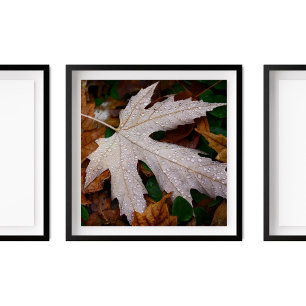 Dew on Fallen Autumn Leaves Photography Poster