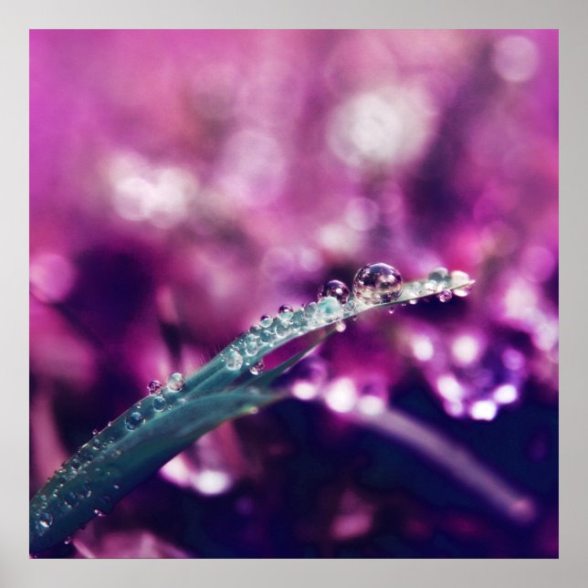 Dew on Purple Pink Leaf Macro Abstract Poster (Front)