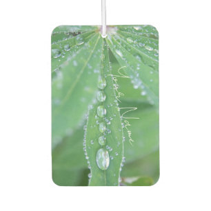 Dewdrop Car Air Freshener
