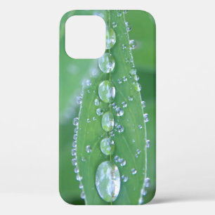 Dewdrop iPhone 12 Case