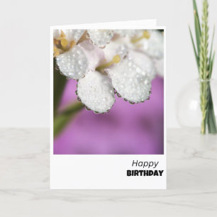 Dewdrop Delight Birthday Card