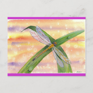 "Dewdrop Dragon" Postcard