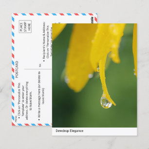 Dewdrop Elegance: Yellow Flower Petal Close-Up Postcard