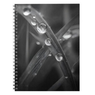 Dewdrop Grass Blade Macro Notebook