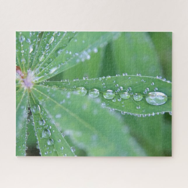 Dewdrop Jigsaw Puzzle (Horizontal)