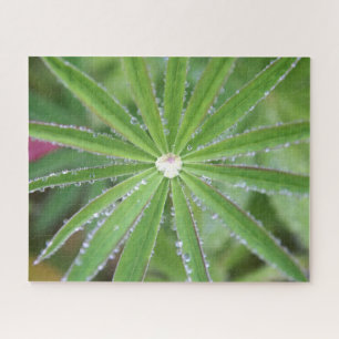 Dewdrop Jigsaw Puzzle