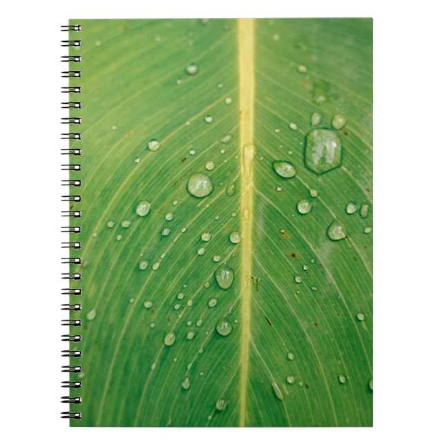 Dewdrop on green leafed plant notebook (Front)