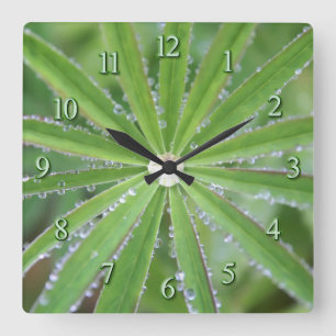 Dewdrop Square Wall Clock