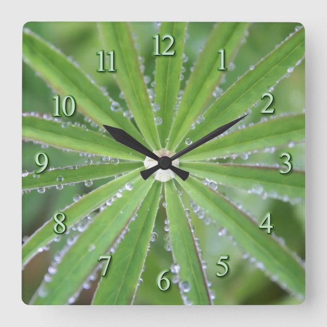 Dewdrop Square Wall Clock (Front)